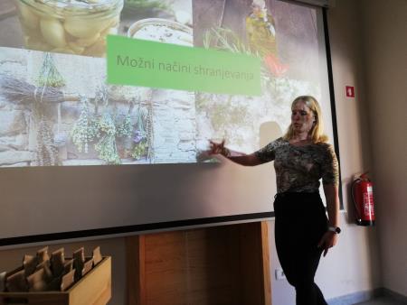 Zelisca za vsak okus 1